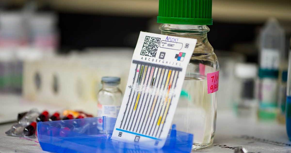 Scientists take aim at illicit supply chain networks of fake medications | News | Notre Dame News