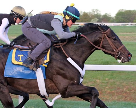 Win Win Win to Ship to Churchill Downs April 24
