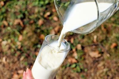 K’taka farmers’ body warns milk federation not to procure feed from middlemen