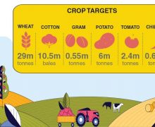 A national crop dashboard to monitor supply chain – Newspaper