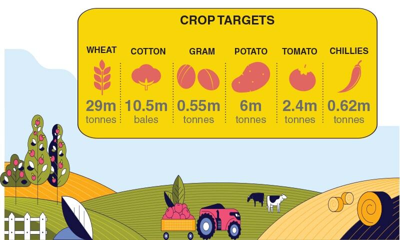 A national crop dashboard to monitor supply chain – Newspaper