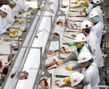 Supply chain crisis deepens, as COVID sweeps through beef processing plants