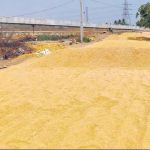 FCI indirectly delays paddy  procurement- The New Indian Express