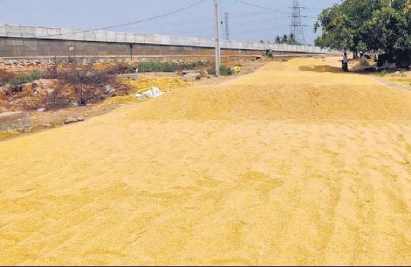 FCI indirectly delays paddy  procurement- The New Indian Express