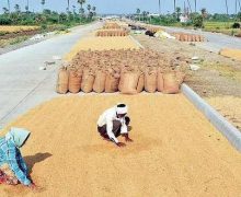 Rabi paddy procurement starts in Kalahandi- The New Indian Express