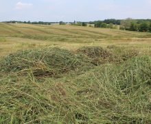 Take forage inventory now to prepare for the winter months