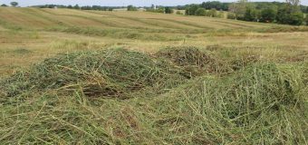 Take forage inventory now to prepare for the winter months